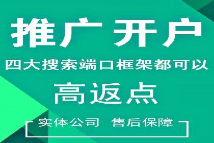 百度竞价SEM案例研究：提升转化率的关键策略